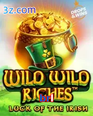 brl slot wild wild riches